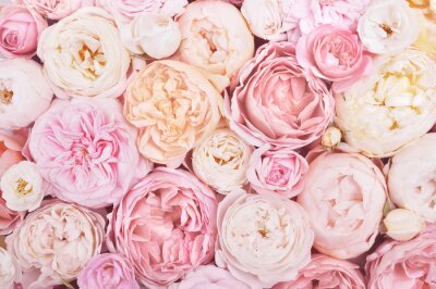 Papier peint  Fond romantique de fleurs roses