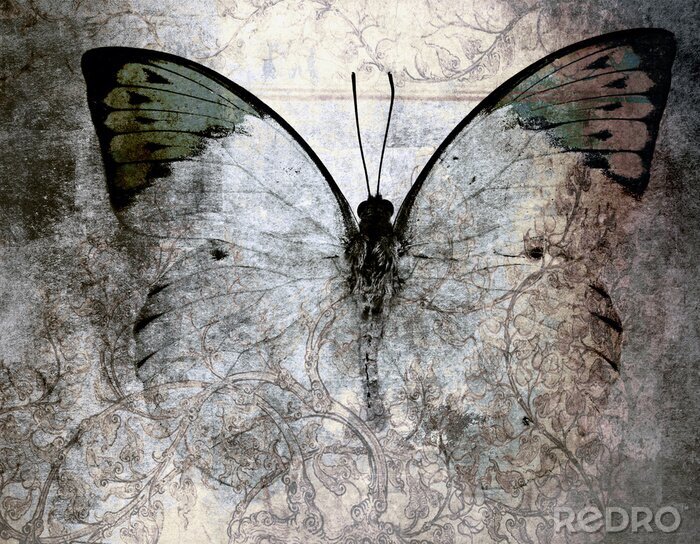 Papier peint  Fond vieilli et papillon