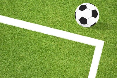Papier peint  Football soccer sur fond d'herbe