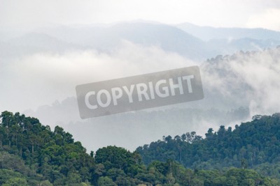 Papier peint  Forêt au pied des pics montagneux
