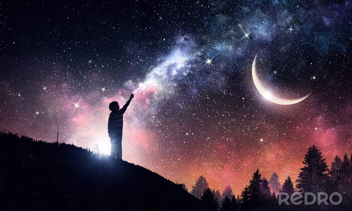 Papier peint  Forêt avec des étoiles dans le ciel nocturne