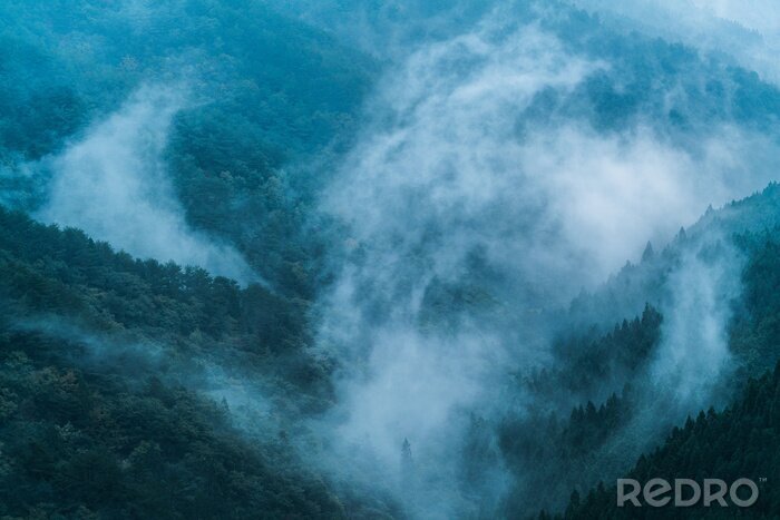 Papier peint  Forêt brumeuse au Japon