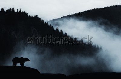 Papier peint  Forêt brumeuse avec la silhouette d'un ours