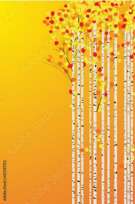 Papier peint  Forêt d'automne bouleau