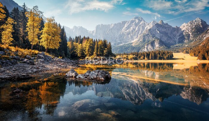 Papier peint  Forêt d'automne ensoleillée au bord d'un lac