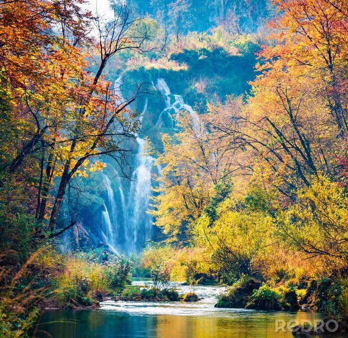 Papier peint  Forêt d'automne et cascade