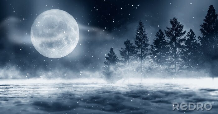 Papier peint  Forêt d'hiver la nuit au clair de lune