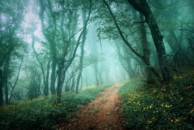 Forêt dans la brume verdâtre