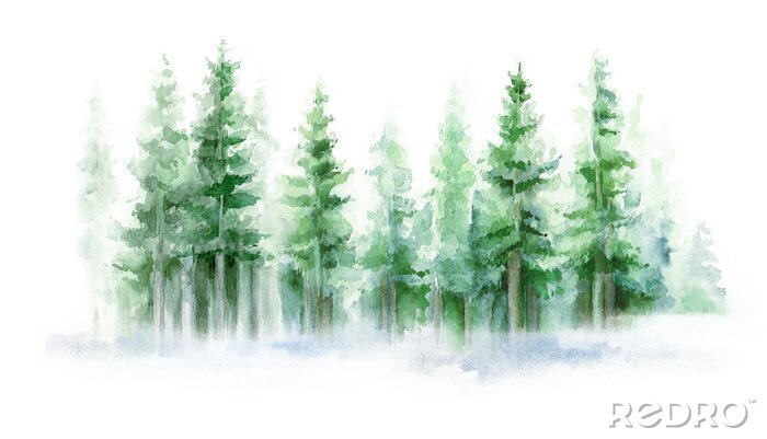 Papier peint  Forêt de conifères aquarelle