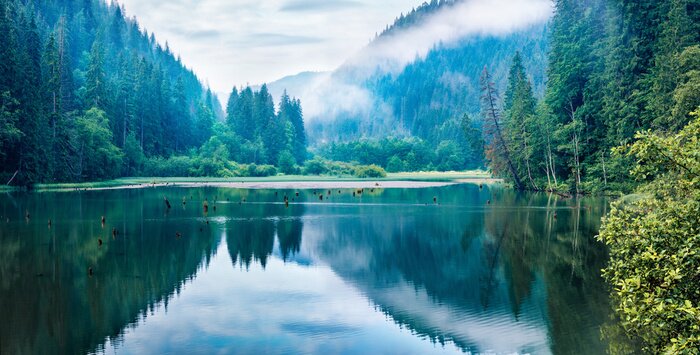 Papier peint  Forêt et lac