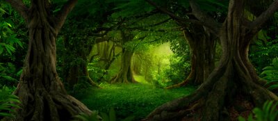 Papier peint  Forêt fantastique verte