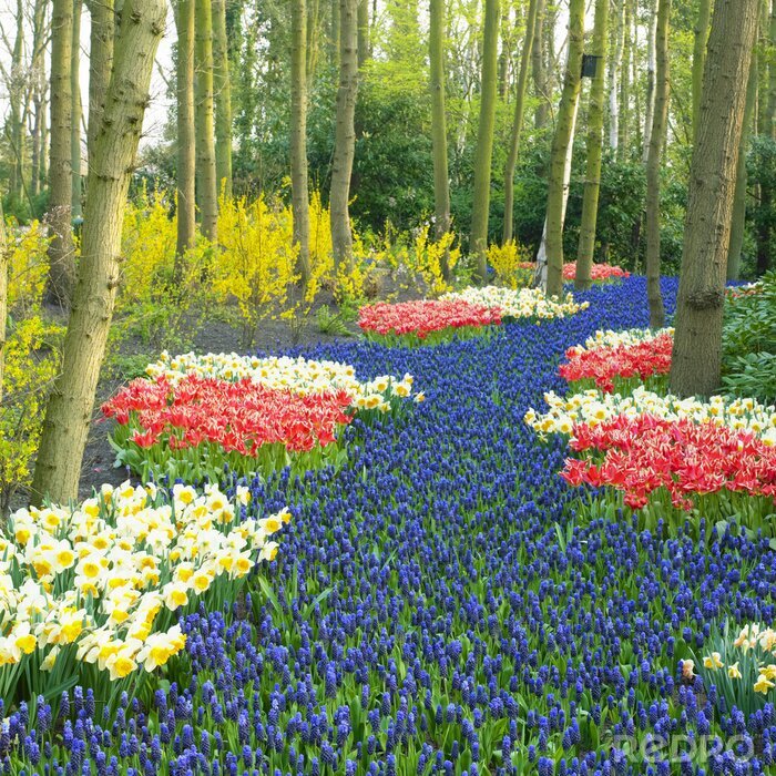 Papier peint  Forêt naturelle et tulipes