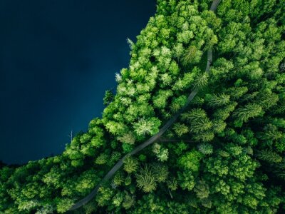 Papier peint  Forêt verte et lac vue aérienne
