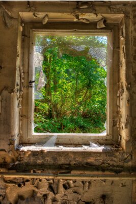 Papier peint  Forêt vue à travers une vieille fenêtre