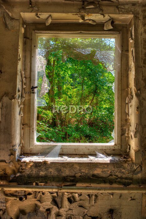 Papier peint  Forêt vue à travers une vieille fenêtre