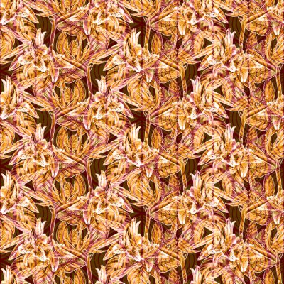 Papier peint  Forme tropicale transparente. Aquarelle peinte à la main des plantes exotiques: des fleurs de strelitzia et de bromélie, des lys roses, des feuilles de calathea sur un fond géométrique tribal, des ton