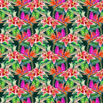 Papier peint  Forme tropicale transparente. Aquarelle peinte à la main des plantes exotiques: des fleurs de strelitzia et de broméline, des lys roses, des feuilles de calahea sur un fond vert émeraude. Conception t