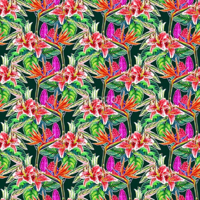 Papier peint  Forme tropicale transparente. Aquarelle peinte à la main des plantes exotiques: des fleurs de strelitzia et de broméline, des lys roses, des feuilles de calahea sur un fond vert émeraude. Conception t