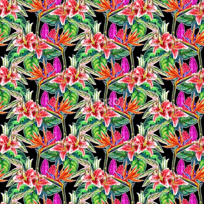 Papier peint  Forme tropicale transparente. Aquarelle peinte à la main des plantes exotiques: des fleurs de strelitzia et de broméline, des lys roses, des feuilles de calatheas sur fond noir. Conception textile.