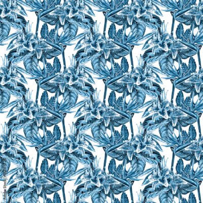 Papier peint  Forme tropicale transparente. Aquarelle peinte à la main des plantes exotiques: fleurs de strelitzia, de bromélie, de lys et de feuilles de calahea, teintes de tendance bleue sur fond blanc. Conceptio