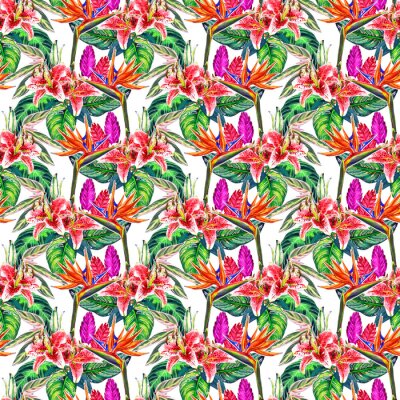 Papier peint  Forme tropicale transparente. Des plantes exotiques aquarellées peintes à la main: des fleurs de strelitzia et de broméline, des lys roses, des feuilles de calahea sur fond blanc. Conception textile.