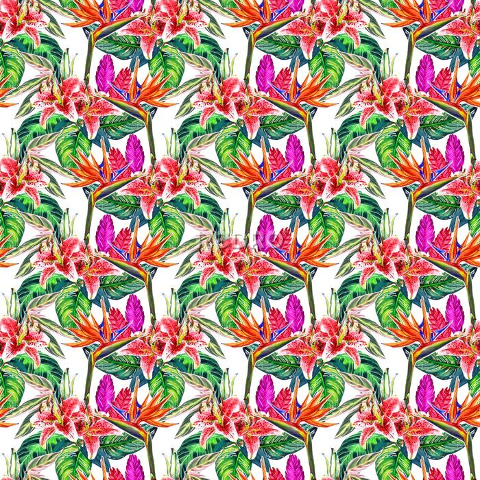 Papier peint  Forme tropicale transparente. Des plantes exotiques aquarellées peintes à la main: des fleurs de strelitzia et de broméline, des lys roses, des feuilles de calahea sur fond blanc. Conception textile.