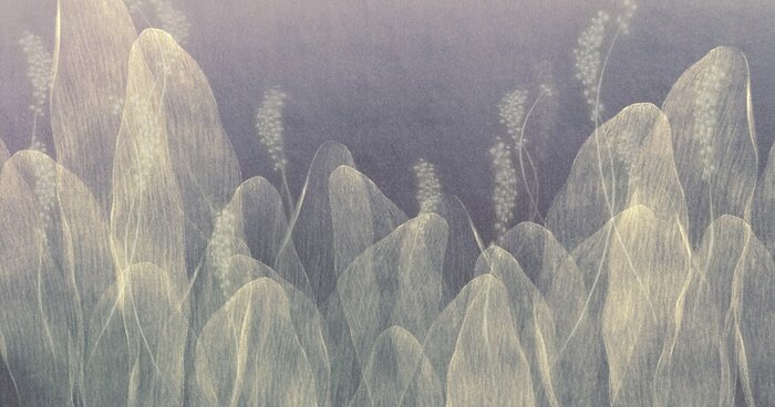 Papier peint  Formes transparentes