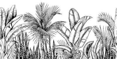 Fourré de plantes tropicales dessin noir et blanc