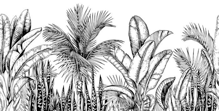 Papier peint  Fourré de plantes tropicales dessin noir et blanc