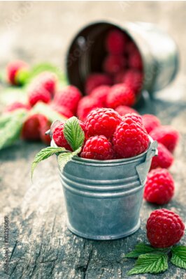 Papier peint  Framboises dans le petit seau