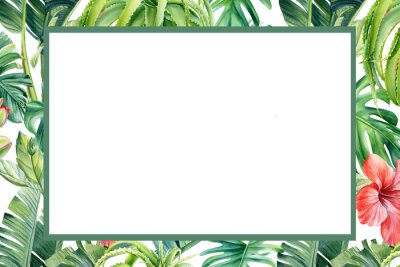 Papier peint  Frame from palm leaves and flowers on isolated white background, watercolor tropical design