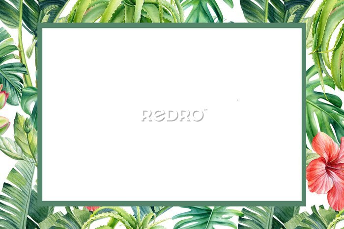 Papier peint  Frame from palm leaves and flowers on isolated white background, watercolor tropical design