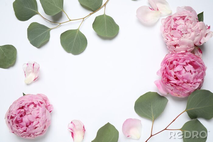 Papier peint  Frame made of beautiful peonies on white background, flat lay with space for text. Floral composition