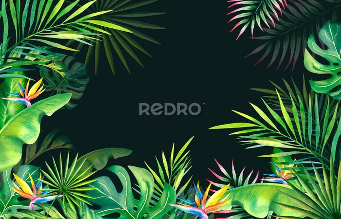 Papier peint  Frame made of palm leaves, banana branches, strelitzia. Tropical plants and birds. Watercolor illustration. Carnival in Brazil. Rio de Janeiro. Summer mood. Banner, template.