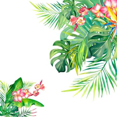 Papier peint  Frame made of palm leaves. Strelitzia. Plumeria.Tropical plants. Tropical leaves. Summer mood. Watercolor illustration. Banner.