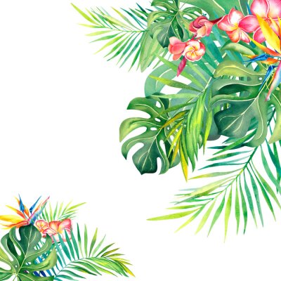 Papier peint  Frame made of palm leaves. Strelitzia. Plumeria.Tropical plants. Tropical leaves. Summer mood. Watercolor illustration. Banner.