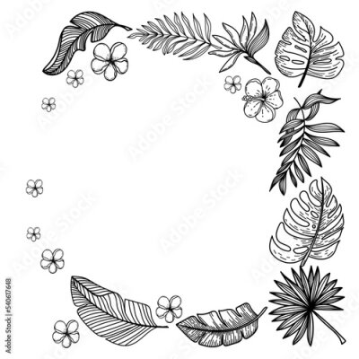 Papier peint  Frame made of silhouettes of tropical elements of strelitzia flower, hibiscus, monster leaves, etc. Hand-drawn doodle in sketch style. Square composition on white background.