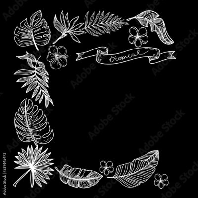 Papier peint  Frame made of silhouettes of tropical elements of strelitzia flower, hibiscus, monster leaves, etc. Hand-drawn in doodle style. Square composition on black background. Tropical lettering is hand drawn