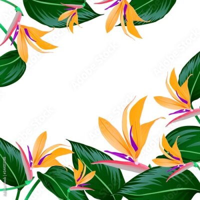 Papier peint  FRAME OF ORANGE FLOWERS AND LEAVES OF STRELITZIA ON A WHITE BACKGROUND