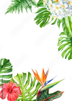 Papier peint  frame, tropical leaves and flowers on an isolated background, greeting cards with space for text, watercolor painting,  floral design, plumeria, strelitzia, palms, monstera, ficus