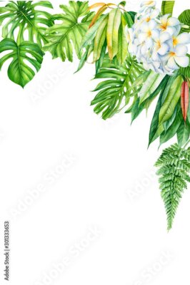 Papier peint  frame, tropical leaves and flowers on an isolated background, greeting cards with space for text, watercolor painting,  floral design, plumeria, strelitzia, palms, monstera, ficus