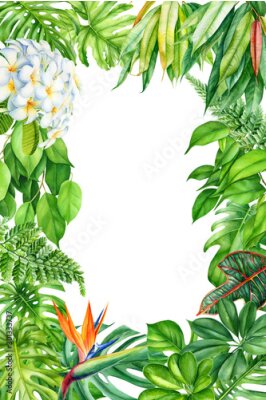 Papier peint  frame, tropical leaves and flowers on an isolated background, greeting cards with space for text, watercolor painting,  floral design, plumeria, strelitzia, palms, monstera, ficus