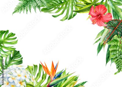 Papier peint  frame, tropical leaves and flowers on an isolated background, greeting cards with space for text, watercolor painting,  floral design, plumeria, strelitzia, palms, monstera, ficus