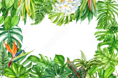 Papier peint  frame, tropical leaves and flowers on an isolated background, greeting cards with space for text, watercolor painting,  floral design, plumeria, strelitzia, palms, monstera, ficus
