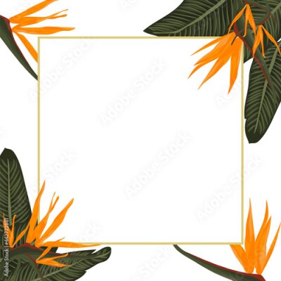 Papier peint  Frame with strelitzia orange tropical flowers and leaves bouquets, isolated on white. Vector illustration.