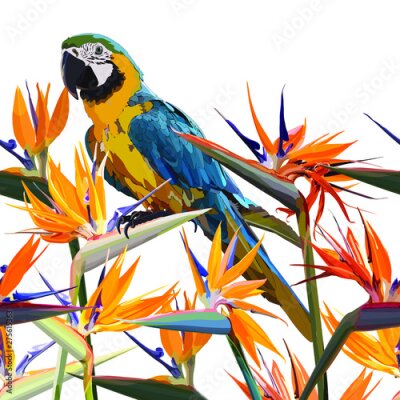 Papier peint  Frame with Strelitzia Reginae orange tropical flower bouquet and parrot. Green leaves, orange and violet blossom. Design set. Vector illustration, EPS 10