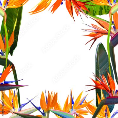 Papier peint  Frame with Strelitzia Reginae orange tropical flower bouquets. South African plant, so called crane flower or bird of paradise. Vector illustration, EPS 10