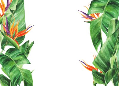 Papier peint  Frame with tropical leaves, strelitzia on an isolated white background, watercolor jungle, botanical drawing.
