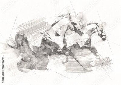 Papier peint  Freehand horse head pencil drawing