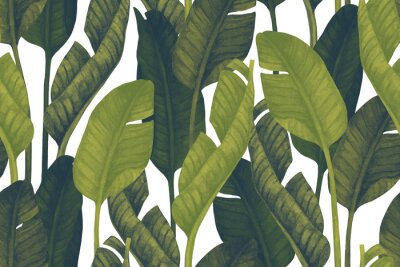 Papier peint  Fresh green banana leaves on white background. Tropical greenery seamless pattern